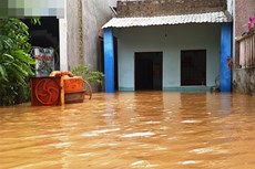 Bão số 9 giật cấp 15: Đà Nẵng di dời dân trước 15h ngày 27/10, học sinh nghỉ học