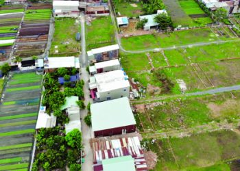 Nhiều công nhân bị lừa mua đất không chính chủ