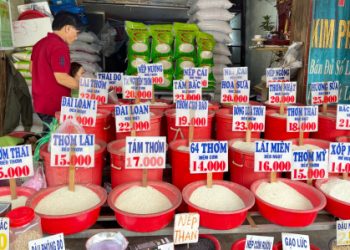 Cùng loại gạo, mua mỗi nơi vị mỗi khác