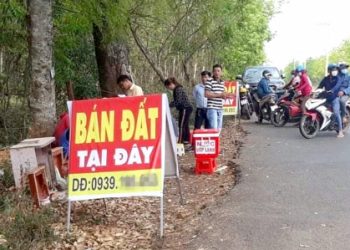 Liều thuốc nào để cắt cơn sốt đất?