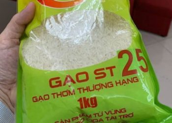 “Cha đẻ” giống lúa ST25 sẽ đăng ký bảo hộ thương hiệu tại Mỹ?