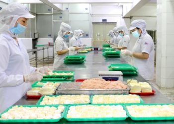 Những giải pháp ổn định nguồn nhân lực cho TPHCM