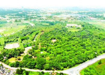 Tiếc nuối 21ha rừng phòng hộ trong Công viên Lịch sử – Văn hóa Dân tộc TPHCM