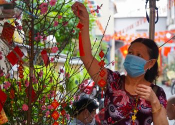 Từng nhà, từng khu phố tưng bừng đón Tết tại Thành phố “xanh”